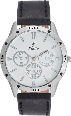 Palito PLO 110 Watch  - For Men   Watches  (Palito)