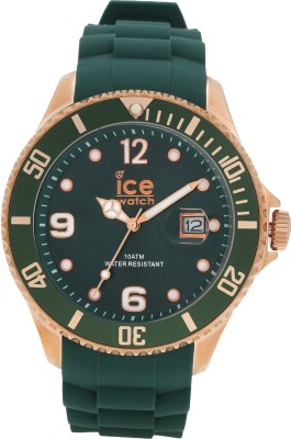 Ice IS.FOR.B.S.13 Analog Watch  - For Men & Women   Watches  (Ice)