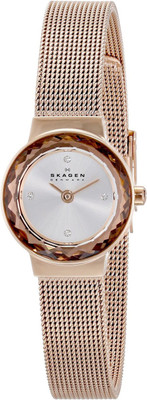 

Skagen SKW2187 Watch - For Women