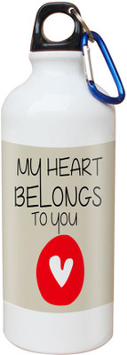 

SKY TRENDS Opaque Series 600 ml Water Bottle(Set of 1, White)