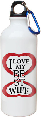 

SKY TRENDS Opaque Series 600 ml Water Bottle(Set of 1, White)