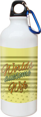 

SKY TRENDS Opaque Series 600 ml Water Bottle(Set of 1, White)