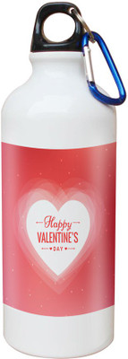 

SKY TRENDS Opaque Series 600 ml Water Bottle(Set of 1, White)