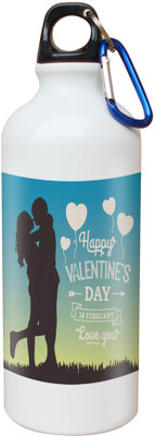 

SKY TRENDS Opaque Series 600 ml Water Bottle(Set of 1, White)