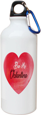 

SKY TRENDS Opaque Series 600 ml Water Bottle(Set of 1, White)