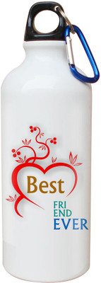 

SKY TRENDS Opaque Series 600 ml Water Bottle(Set of 1, White)