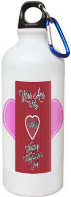 

SKY TRENDS Opaque Series 600 ml Water Bottle(Set of 1, White)