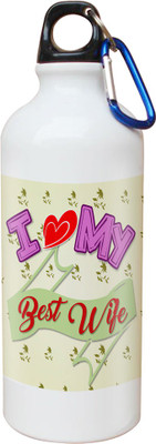 

SKY TRENDS Opaque Series 600 ml Water Bottle(Set of 1, White)
