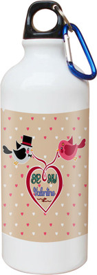 

SKY TRENDS Opaque Series 600 ml Water Bottle(Set of 1, White)