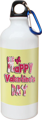 

SKY TRENDS Opaque Series 600 ml Water Bottle(Set of 1, White)