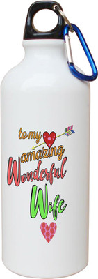 

SKY TRENDS Opaque Series 600 ml Water Bottle(Set of 1, White)