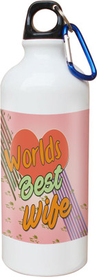 

SKY TRENDS Opaque Series 600 ml Water Bottle(Set of 1, White)