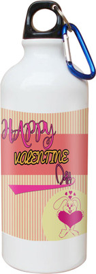 

SKY TRENDS Opaque Series 600 ml Water Bottle(Set of 1, White)