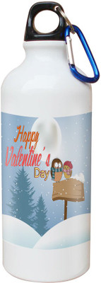 

SKY TRENDS Opaque Series 600 ml Water Bottle(Set of 1, White)