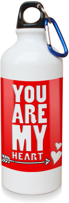 

Sky Trends Gift White Sipper 600 ml Water Bottle(Set of 1, White)