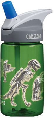 

CamelBak 53174 400 ml Sipper(Pack of 1, Green)