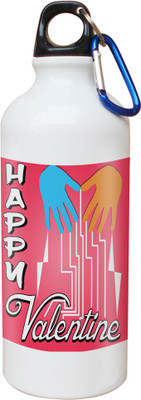 

SKY TRENDS Opaque Series 600 ml Water Bottle(Set of 1, White)