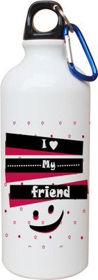 

SKY TRENDS Opaque Series 600 ml Water Bottle(Set of 1, White)