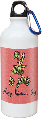 

SKY TRENDS Opaque Series 600 ml Water Bottle(Set of 1, White)