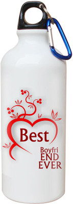 

SKY TRENDS Opaque Series 600 ml Water Bottle(Set of 1, White)
