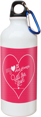 

SKY TRENDS Opaque Series 600 ml Water Bottle(Set of 1, White)