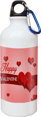 

SKY TRENDS Opaque Series 600 ml Water Bottle(Set of 1, White)