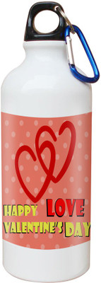 

SKY TRENDS Opaque Series 600 ml Water Bottle(Set of 1, White)