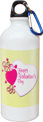 

SKY TRENDS Opaque Series 600 ml Water Bottle(Set of 1, White)