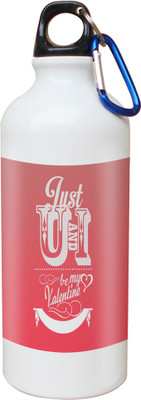 

SKY TRENDS Opaque Series 600 ml Water Bottle(Set of 1, White)