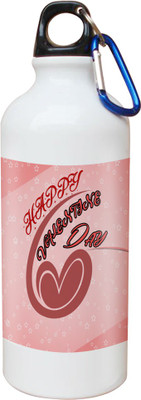 

SKY TRENDS Opaque Series 600 ml Water Bottle(Set of 1, White)
