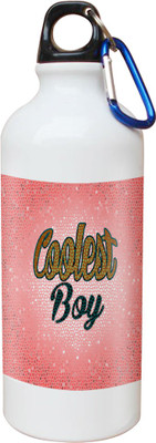 

SKY TRENDS Opaque Series 600 ml Water Bottle(Set of 1, White)