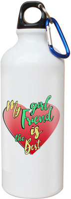 

SKY TRENDS Opaque Series 600 ml Water Bottle(Set of 1, White)