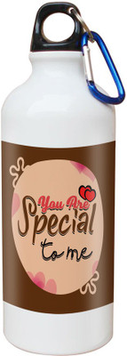 

SKY TRENDS Opaque Series 600 ml Water Bottle(Set of 1, White)