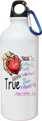 

SKY TRENDS Opaque Series 600 ml Water Bottle(Set of 1, White)