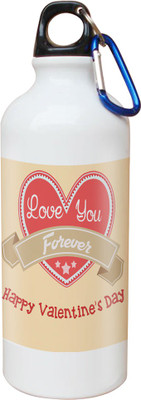 

SKY TRENDS Opaque Series 600 ml Water Bottle(Set of 1, White)
