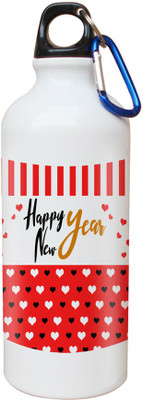 

SKY TRENDS GIFT Opaque Series 600 ml Water Bottle(Set of 1, White)