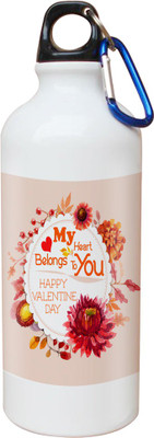 

SKY TRENDS Opaque Series 600 ml Water Bottle(Set of 1, White)