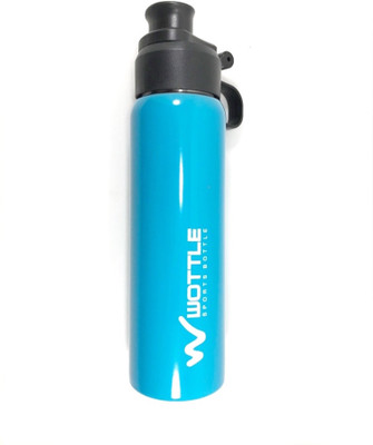 Kidofash Kidofash Stainless Steel Water Bottle (650 ml) 650 ml Water Bottle(Set of 1, Blue)