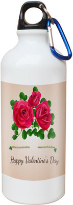 

SKY TRENDS Opaque Series 600 ml Water Bottle(Set of 1, White)