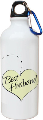 

SKY TRENDS Opaque Series 600 ml Water Bottle(Set of 1, White)