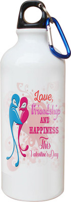 

SKY TRENDS Opaque Series 600 ml Water Bottle(Set of 1, White)