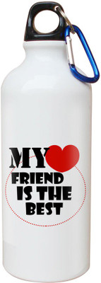 

SKY TRENDS Opaque Series 600 ml Water Bottle(Set of 1, White)