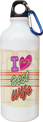 

SKY TRENDS Opaque Series 600 ml Water Bottle(Set of 1, White)