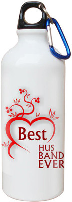

SKY TRENDS Opaque Series 600 ml Water Bottle(Set of 1, White)
