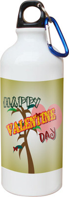 

SKY TRENDS Opaque Series 600 ml Water Bottle(Set of 1, White)