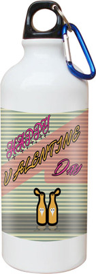 

SKY TRENDS Opaque Series 600 ml Water Bottle(Set of 1, White)