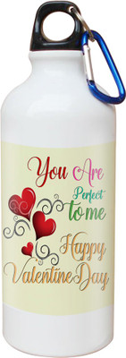 

SKY TRENDS Opaque Series 600 ml Water Bottle(Set of 1, White)