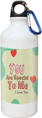 

SKY TRENDS Opaque Series 600 ml Water Bottle(Set of 1, White)