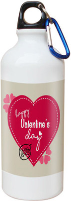 

SKY TRENDS Opaque Series 600 ml Water Bottle(Set of 1, White)