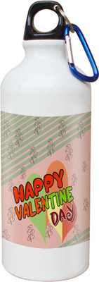 

SKY TRENDS Opaque Series 600 ml Water Bottle(Set of 1, White)